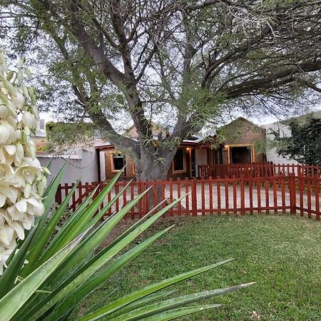 El Patio Del Aromo Lägenhet Puerto Madryn Exteriör bild