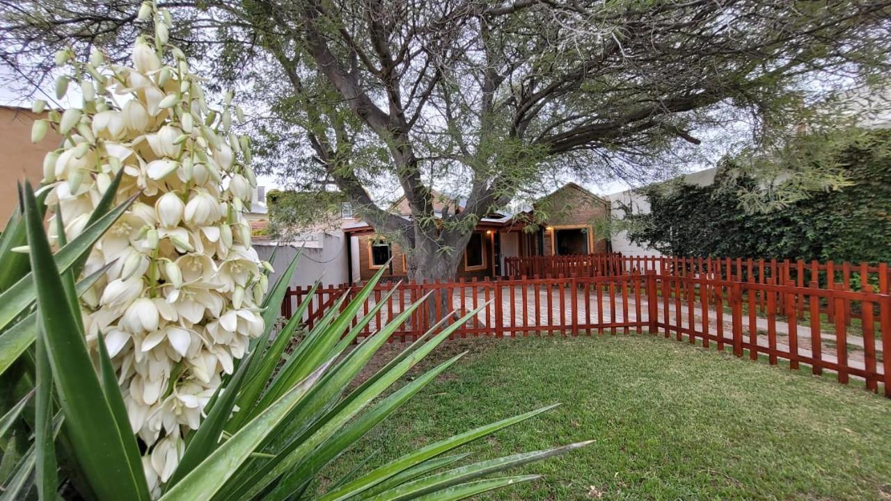 El Patio Del Aromo Lägenhet Puerto Madryn Exteriör bild
