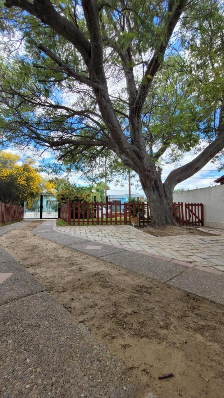El Patio Del Aromo Lägenhet Puerto Madryn Exteriör bild